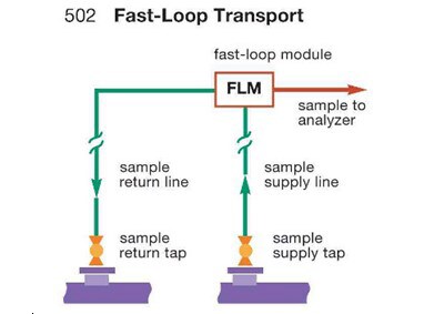 Fast loop module in a fast loop transport system